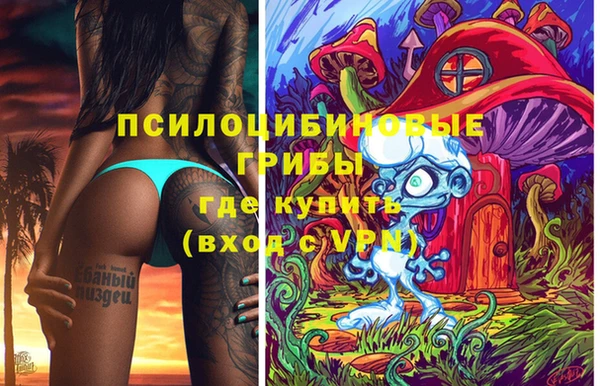 дживик Козловка